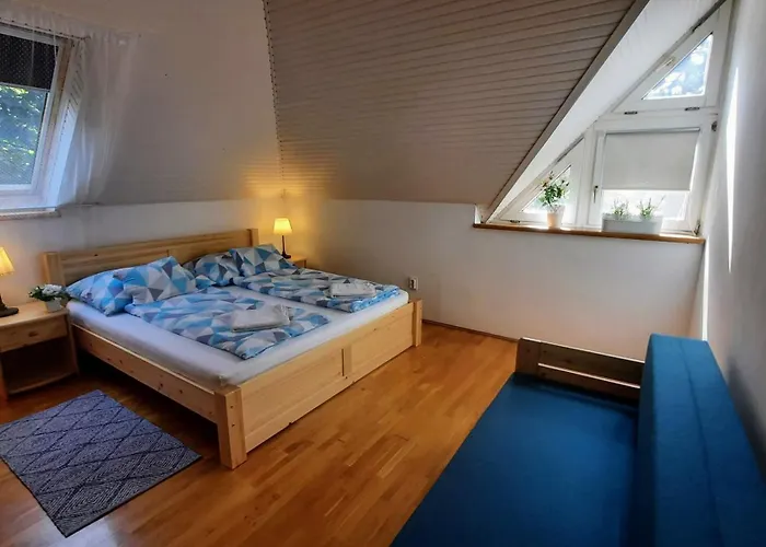 Balaton Chill House 펜션